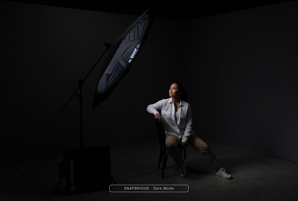 C0300141_Lightbridge-CRLS-precision-lighting-reflector_Snapbridge-3ft_8